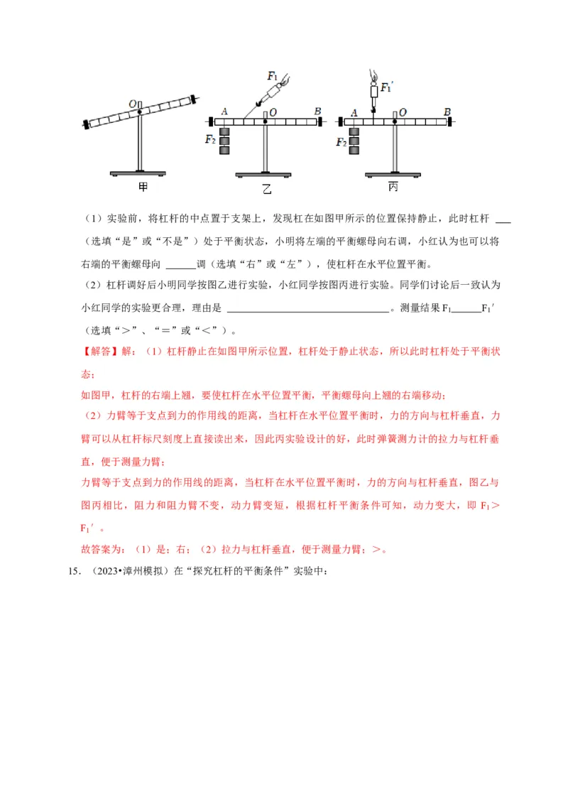 实验12探究杠杆的平衡条件（解析版）_8、物理总复习_2024年中考复习资料_二轮复习_（讲义+练习）2024年中考物理二轮题型专项复习