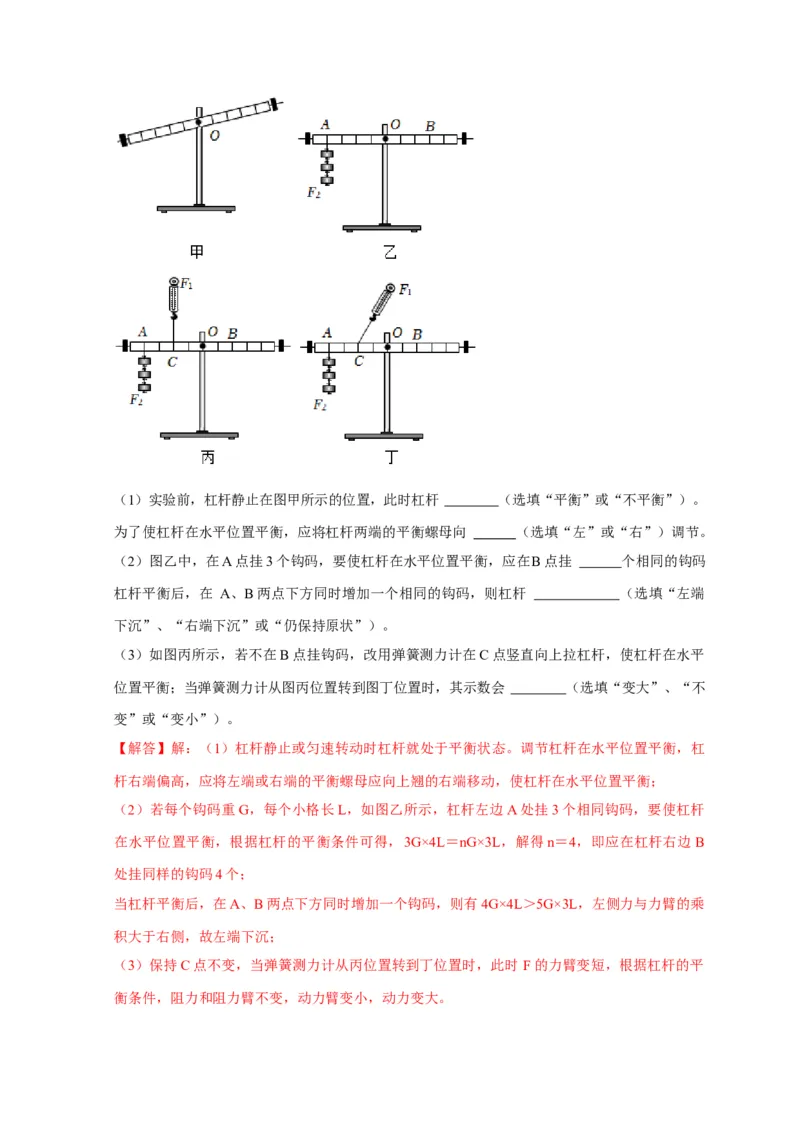 实验12探究杠杆的平衡条件（解析版）_8、物理总复习_2024年中考复习资料_二轮复习_（讲义+练习）2024年中考物理二轮题型专项复习