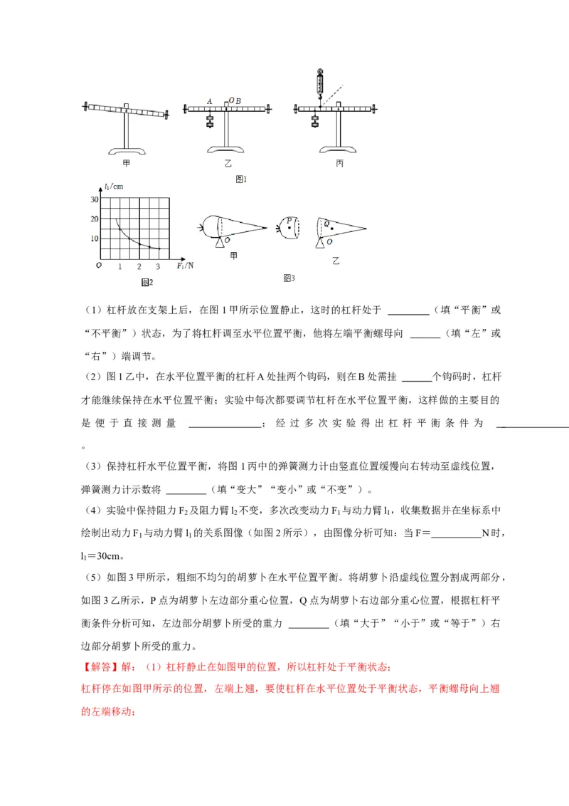 实验12探究杠杆的平衡条件（解析版）_8、物理总复习_2024年中考复习资料_二轮复习_（讲义+练习）2024年中考物理二轮题型专项复习
