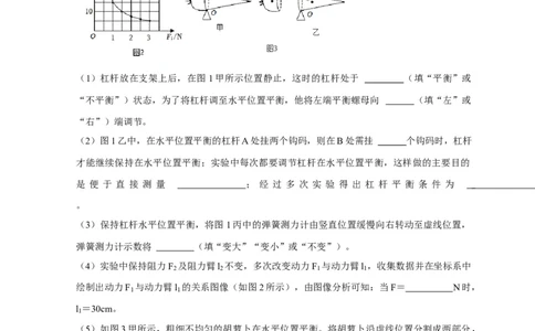 实验12探究杠杆的平衡条件（解析版）_8、物理总复习_2024年中考复习资料_二轮复习_（讲义+练习）2024年中考物理二轮题型专项复习