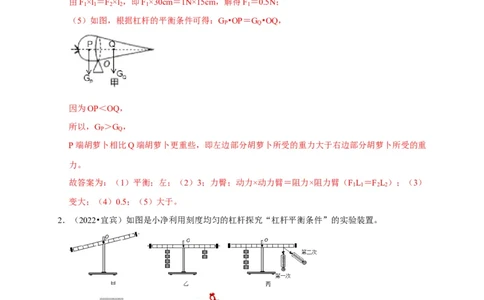 实验12探究杠杆的平衡条件（解析版）_8、物理总复习_2024年中考复习资料_二轮复习_（讲义+练习）2024年中考物理二轮题型专项复习