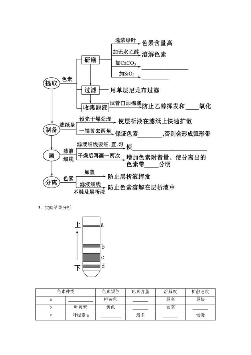 专题09_光与光合作用(教师版)_新高考复习资料_2023年新高考复习资料_二轮复习_增分要点2023高考生物二轮复习专题解读和分层训练291073137