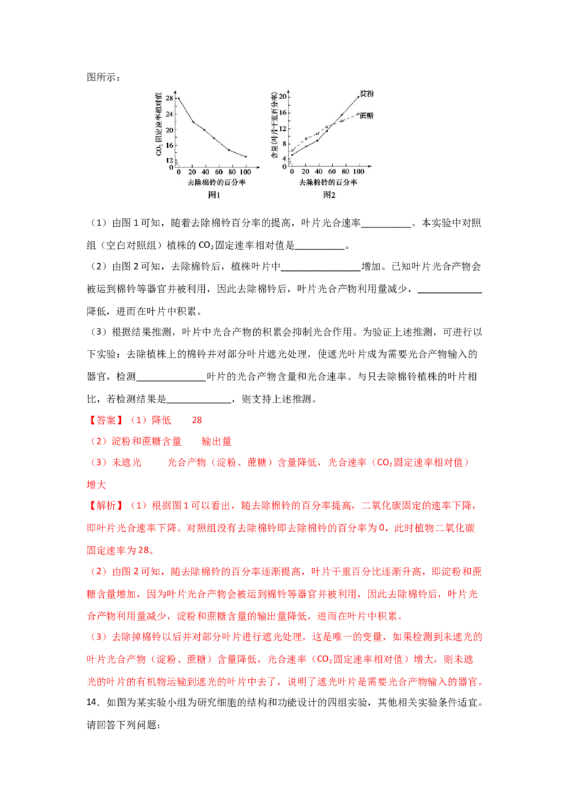 专题09_光与光合作用(教师版)_新高考复习资料_2023年新高考复习资料_二轮复习_增分要点2023高考生物二轮复习专题解读和分层训练291073137