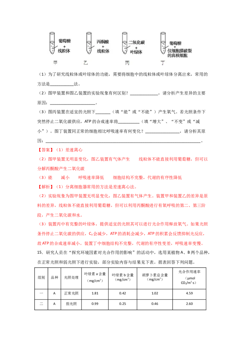 专题09_光与光合作用(教师版)_新高考复习资料_2023年新高考复习资料_二轮复习_增分要点2023高考生物二轮复习专题解读和分层训练291073137