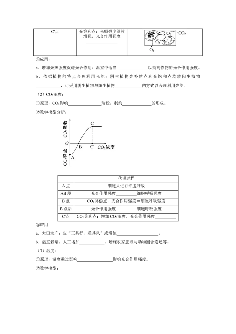 专题09_光与光合作用(教师版)_新高考复习资料_2023年新高考复习资料_二轮复习_增分要点2023高考生物二轮复习专题解读和分层训练291073137