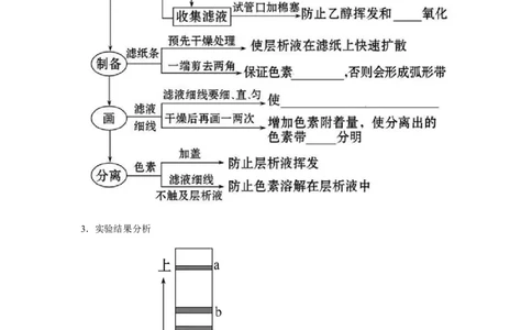 专题09_光与光合作用(教师版)_新高考复习资料_2023年新高考复习资料_二轮复习_增分要点2023高考生物二轮复习专题解读和分层训练291073137