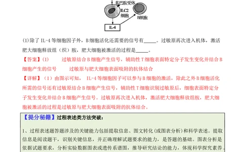 专题08生命活动调节（解析版）_新高考复习资料_2024年新高考复习资料_二轮复习资料_2024年高考生物二轮热点题型归纳与变式演练（新高考通用）_教师版（含答案解析）