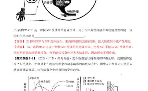 专题08生命活动调节（解析版）_新高考复习资料_2024年新高考复习资料_二轮复习资料_2024年高考生物二轮热点题型归纳与变式演练（新高考通用）_教师版（含答案解析）