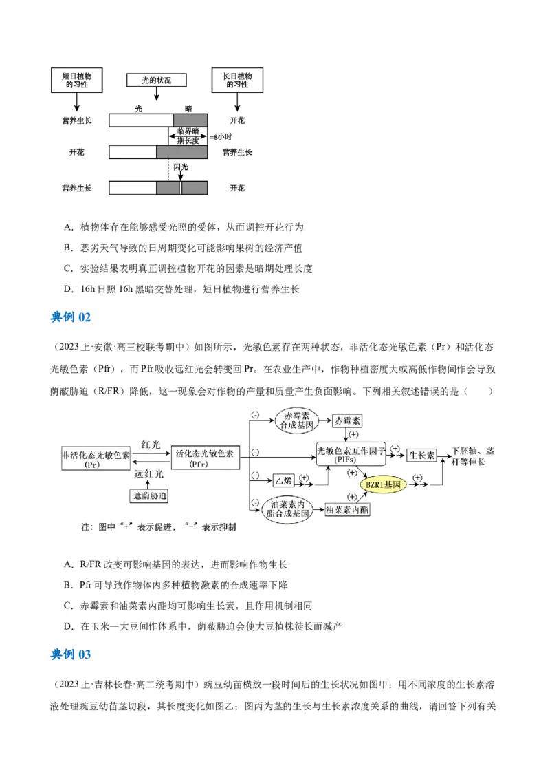 专题08植物生命活动的调节（讲义）（原卷版）_新高考复习资料_2024年新高考复习资料_二轮复习资料_高频考点解密2024年高考生物二轮复习高频考点追踪与预测（新高考专用）_讲义