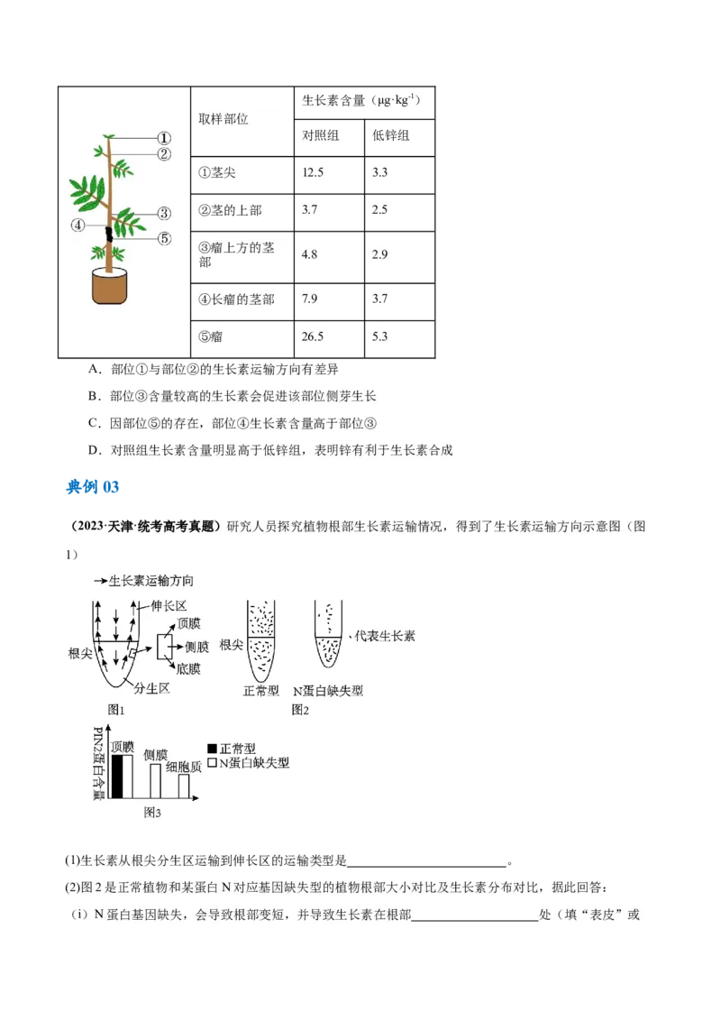 专题08植物生命活动的调节（讲义）（原卷版）_新高考复习资料_2024年新高考复习资料_二轮复习资料_高频考点解密2024年高考生物二轮复习高频考点追踪与预测（新高考专用）_讲义