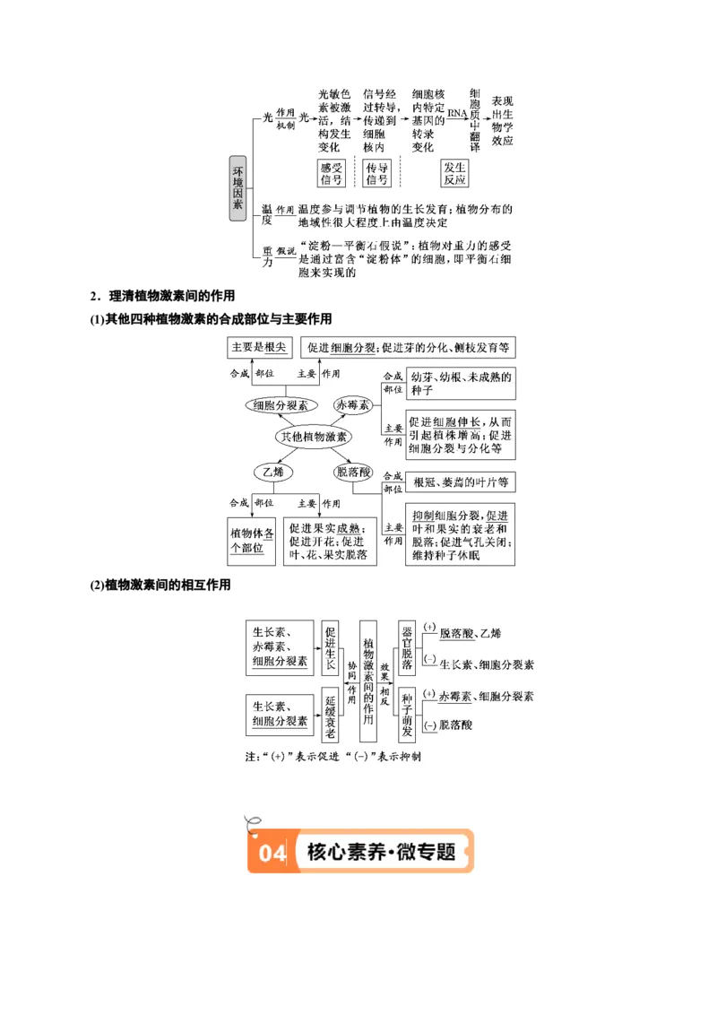专题08植物生命活动的调节（讲义）（原卷版）_新高考复习资料_2024年新高考复习资料_二轮复习资料_高频考点解密2024年高考生物二轮复习高频考点追踪与预测（新高考专用）_讲义