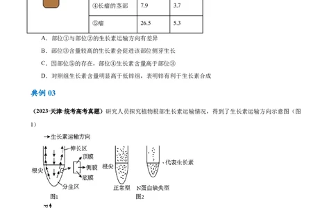 专题08植物生命活动的调节（讲义）（原卷版）_新高考复习资料_2024年新高考复习资料_二轮复习资料_高频考点解密2024年高考生物二轮复习高频考点追踪与预测（新高考专用）_讲义