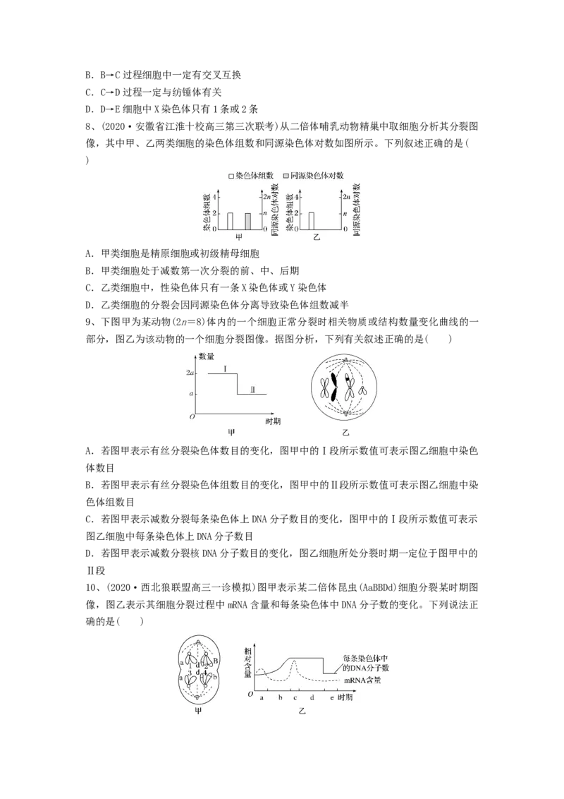 专题12减数分裂和受精作用（精练）（原卷版）_新高考复习资料_2024年新高考复习资料_一轮复习资料_完备战2024年高考生物一轮复习串讲精练（新高考专用）_精练