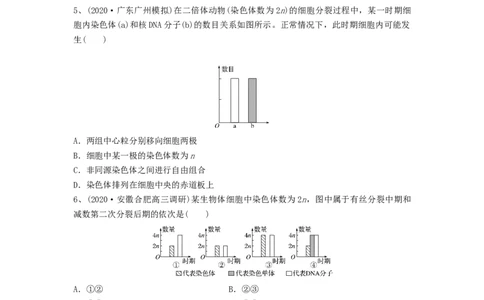 专题12减数分裂和受精作用（精练）（原卷版）_新高考复习资料_2024年新高考复习资料_一轮复习资料_完备战2024年高考生物一轮复习串讲精练（新高考专用）_精练