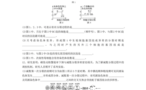 专题12减数分裂和受精作用（精练）（原卷版）_新高考复习资料_2024年新高考复习资料_一轮复习资料_完备战2024年高考生物一轮复习串讲精练（新高考专用）_精练