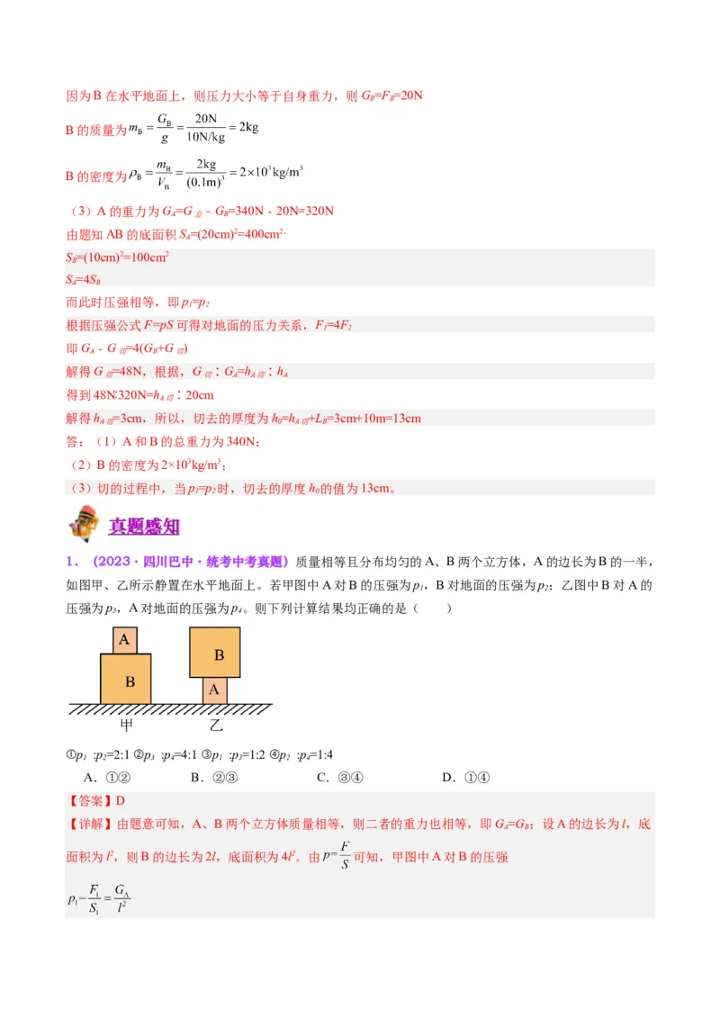 专题10压力与压强（解析版）_8、物理总复习_8.中考物理总复习_2024年中考复习资料_一轮复习资料_完备战2024年中考物理一轮复习讲义练习（全国通用）_教师版（含答案解析）