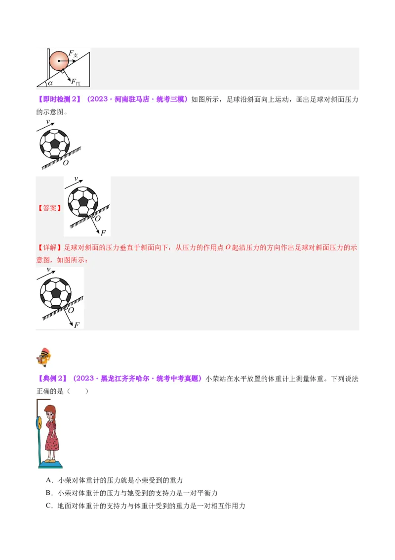 专题10压力与压强（解析版）_8、物理总复习_8.中考物理总复习_2024年中考复习资料_一轮复习资料_完备战2024年中考物理一轮复习讲义练习（全国通用）_教师版（含答案解析）