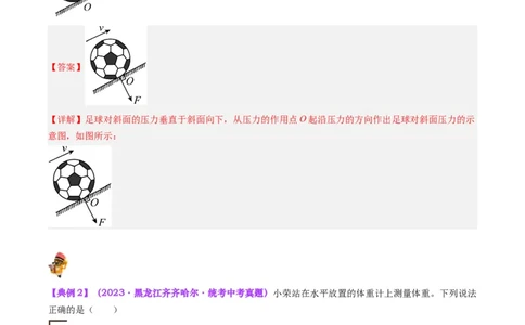专题10压力与压强（解析版）_8、物理总复习_8.中考物理总复习_2024年中考复习资料_一轮复习资料_完备战2024年中考物理一轮复习讲义练习（全国通用）_教师版（含答案解析）