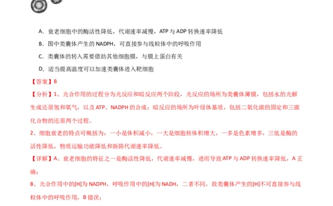 黄金卷03（解析版）-赢在高考&middot;黄金8卷备战2024年高考生物模拟卷（海南专用）_2024年新高考资料_4.2024高考模拟预测试卷