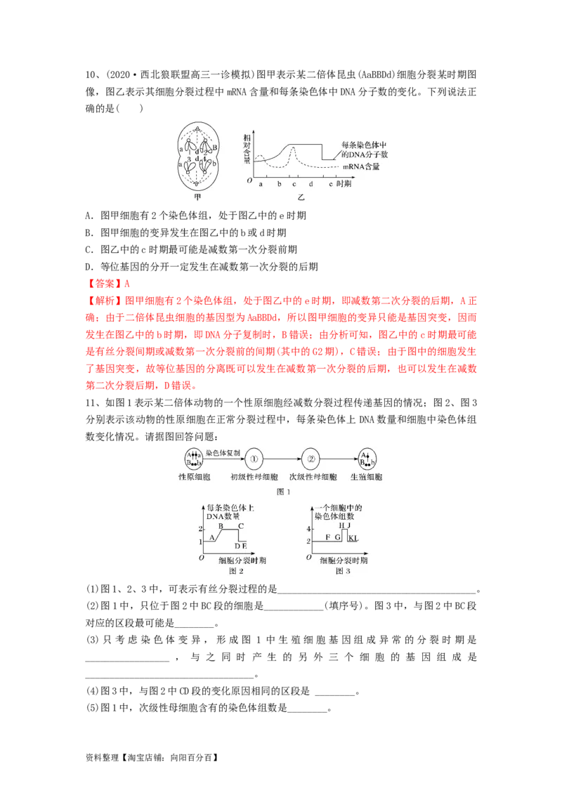 专题12减数分裂和受精作用（精练）（解析版）_新高考复习资料_2024年新高考复习资料_一轮复习资料_完备战2024年高考生物一轮复习串讲精练（新高考专用）_精练_解析版