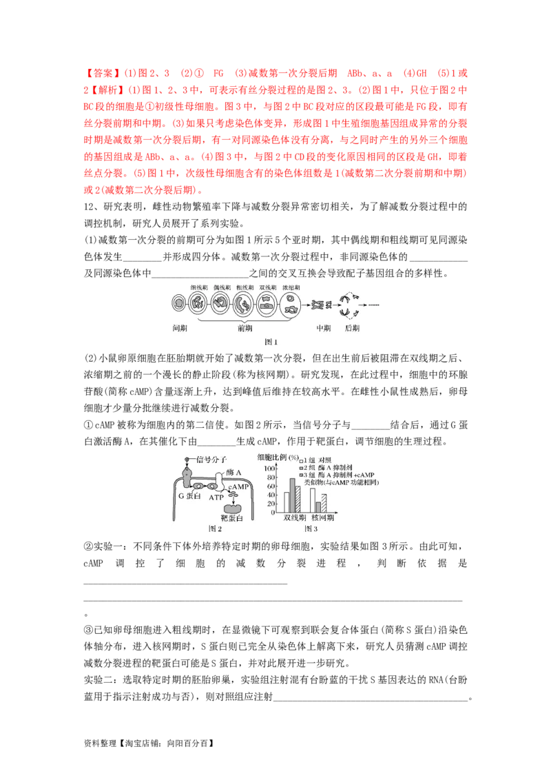 专题12减数分裂和受精作用（精练）（解析版）_新高考复习资料_2024年新高考复习资料_一轮复习资料_完备战2024年高考生物一轮复习串讲精练（新高考专用）_精练_解析版