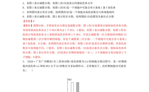 专题12减数分裂和受精作用（精练）（解析版）_新高考复习资料_2024年新高考复习资料_一轮复习资料_完备战2024年高考生物一轮复习串讲精练（新高考专用）_精练_解析版