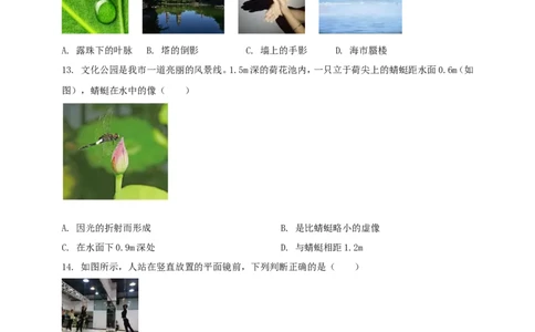 专题10光现象情景类问题（原卷版）_8、物理总复习_2024年中考复习资料_二轮复习_夺分宝典备考2024年物理二轮中考总复习71个重难点亮点专题专炼（全国通用）