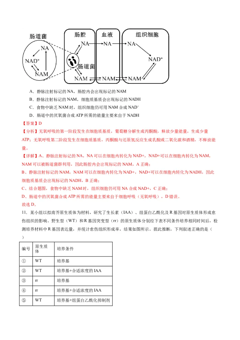 黄金卷03（解析版）-赢在高考&middot;黄金8卷备战2024年高考生物模拟卷（重庆专用）_2024年新高考资料_4.2024高考模拟预测试卷