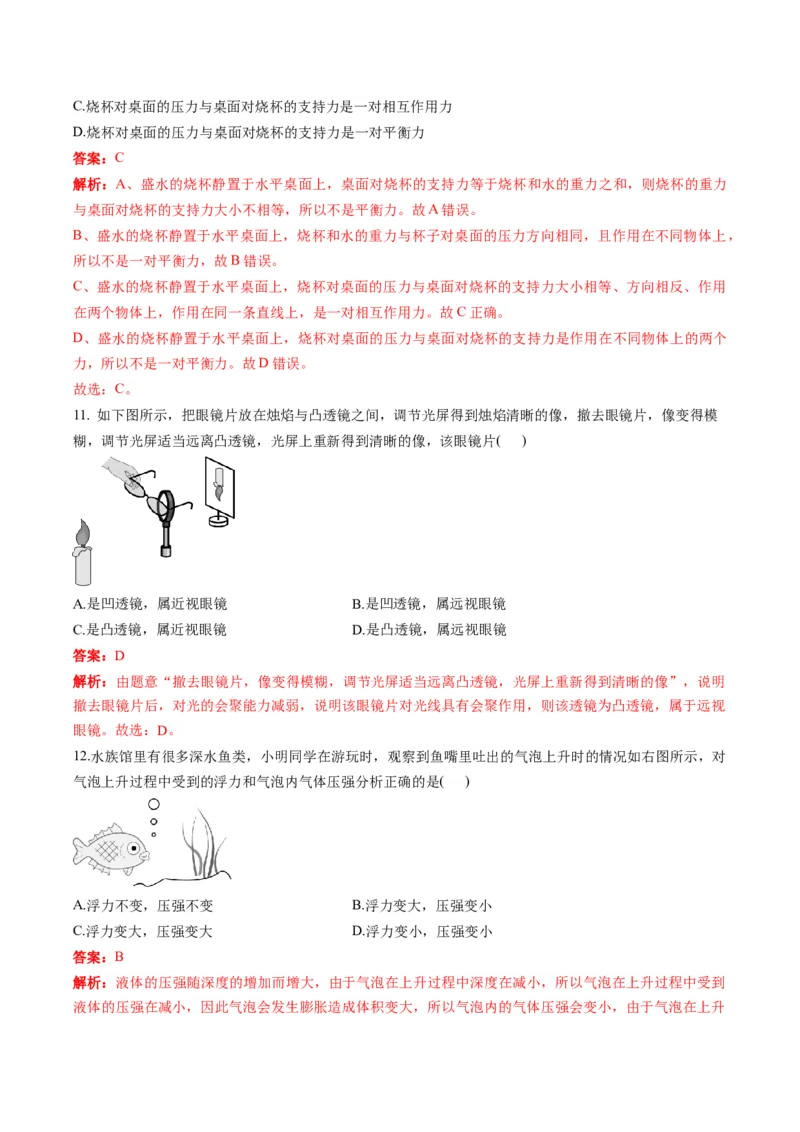 物理（河南卷）（考试版A4）（解析版）_8、物理总复习_2024中考模拟题物理_一模_物理（河南卷）-2024年中考第一次模拟考试_物理（河南卷）-2024年中考第一次模拟考试
