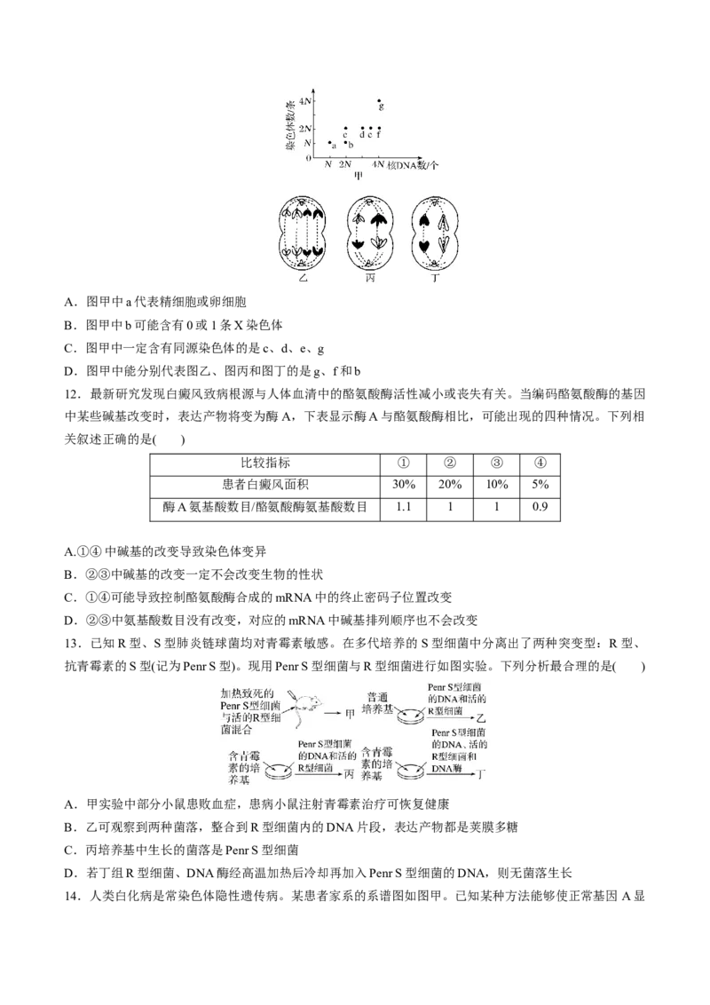 黄金卷08（考试版）-赢在高考&middot;黄金8卷备战2024年高考生物模拟卷（福建专用）_2024年新高考资料_4.2024高考模拟预测试卷