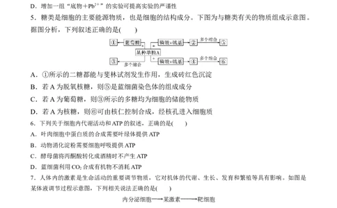 黄金卷08（考试版）-赢在高考&middot;黄金8卷备战2024年高考生物模拟卷（福建专用）_2024年新高考资料_4.2024高考模拟预测试卷