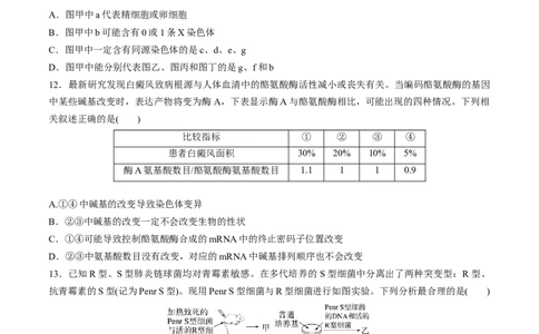 黄金卷08（考试版）-赢在高考&middot;黄金8卷备战2024年高考生物模拟卷（福建专用）_2024年新高考资料_4.2024高考模拟预测试卷