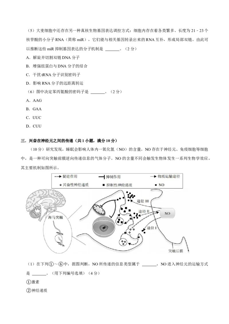 黄金卷04（考试版）-赢在高考&middot;黄金8卷备战2024年高考生物模拟卷（上海专用）_2024年新高考资料_4.2024高考模拟预测试卷