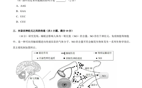 黄金卷04（考试版）-赢在高考&middot;黄金8卷备战2024年高考生物模拟卷（上海专用）_2024年新高考资料_4.2024高考模拟预测试卷