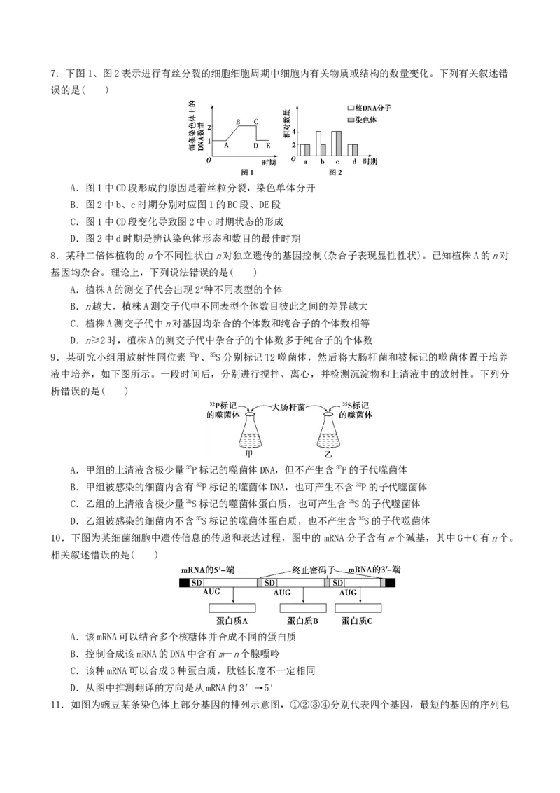 黄金卷06（考试版）-赢在高考&middot;黄金8卷备战2024年高考生物模拟卷（湖北专用）_2024年新高考资料_4.2024高考模拟预测试卷