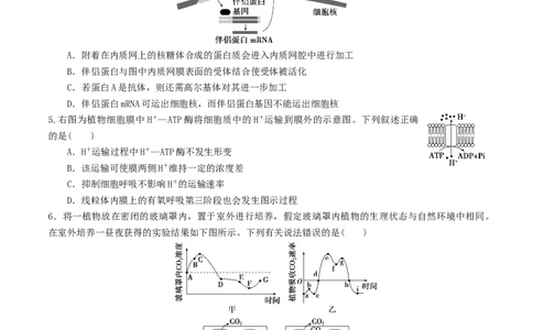 黄金卷06（考试版）-赢在高考&middot;黄金8卷备战2024年高考生物模拟卷（湖北专用）_2024年新高考资料_4.2024高考模拟预测试卷