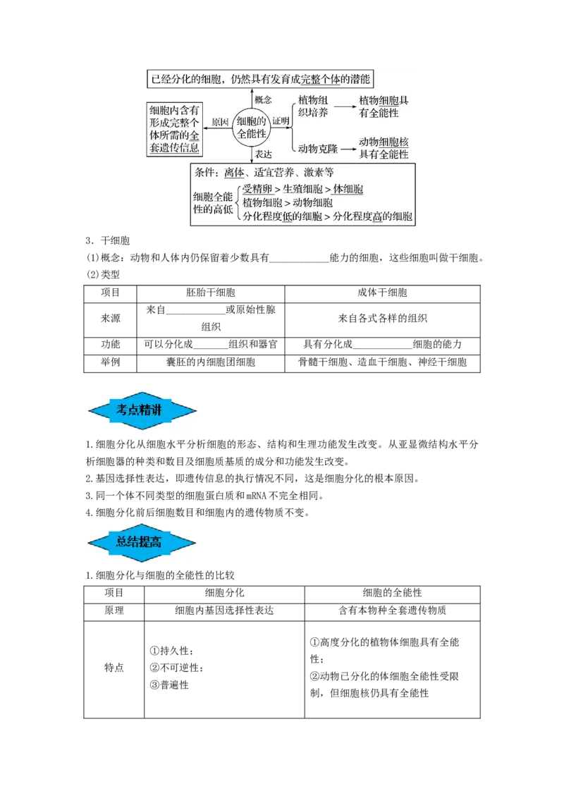 专题13细胞的分化、衰老和死亡（串讲）（原卷版）_新高考复习资料_2024年新高考复习资料_一轮复习资料_完备战2024年高考生物一轮复习串讲精练（新高考专用）_串讲