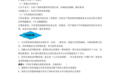 专题13细胞的分化、衰老和死亡（串讲）（原卷版）_新高考复习资料_2024年新高考复习资料_一轮复习资料_完备战2024年高考生物一轮复习串讲精练（新高考专用）_串讲