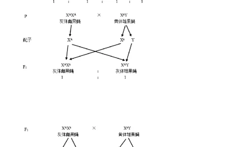 专题08基因的自由组合定律-2021年高考真题和模拟题生物分项汇编（原卷版）_新高考复习资料_2022年新高考复习资料_2021年高考真题和模拟题生物分项汇编7.30更新