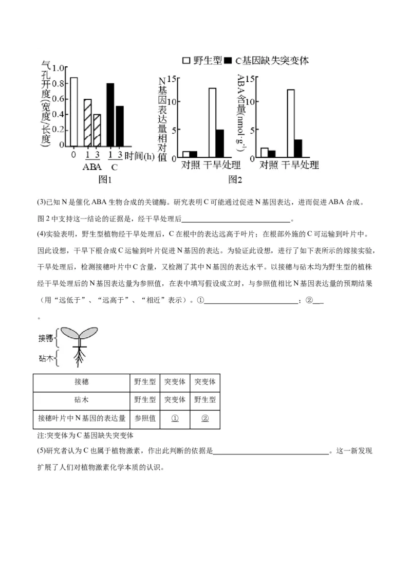 专题08植物生命活动的调节（分层练）（原卷版）_新高考复习资料_2024年新高考复习资料_二轮复习资料_高频考点解密2024年高考生物二轮复习高频考点追踪与预测（新高考专用）
