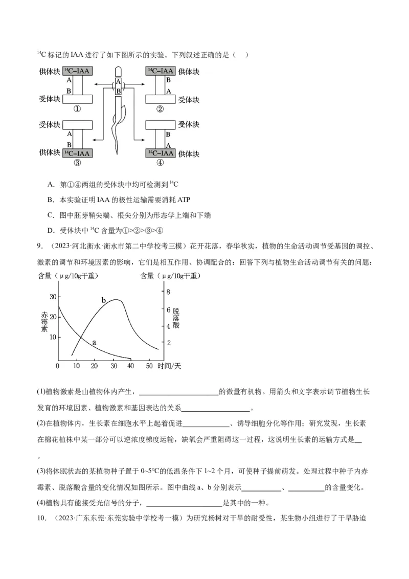 专题08植物生命活动的调节（分层练）（原卷版）_新高考复习资料_2024年新高考复习资料_二轮复习资料_高频考点解密2024年高考生物二轮复习高频考点追踪与预测（新高考专用）