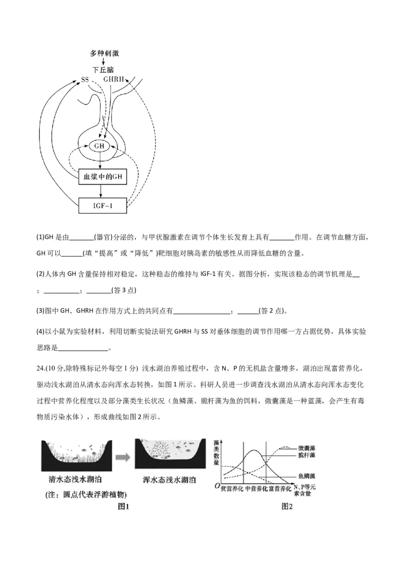 黄金卷04（考试版）-赢在高考&middot;黄金8卷备战2024年高考生物模拟卷（山东专用）_2024年新高考资料_4.2024高考模拟预测试卷