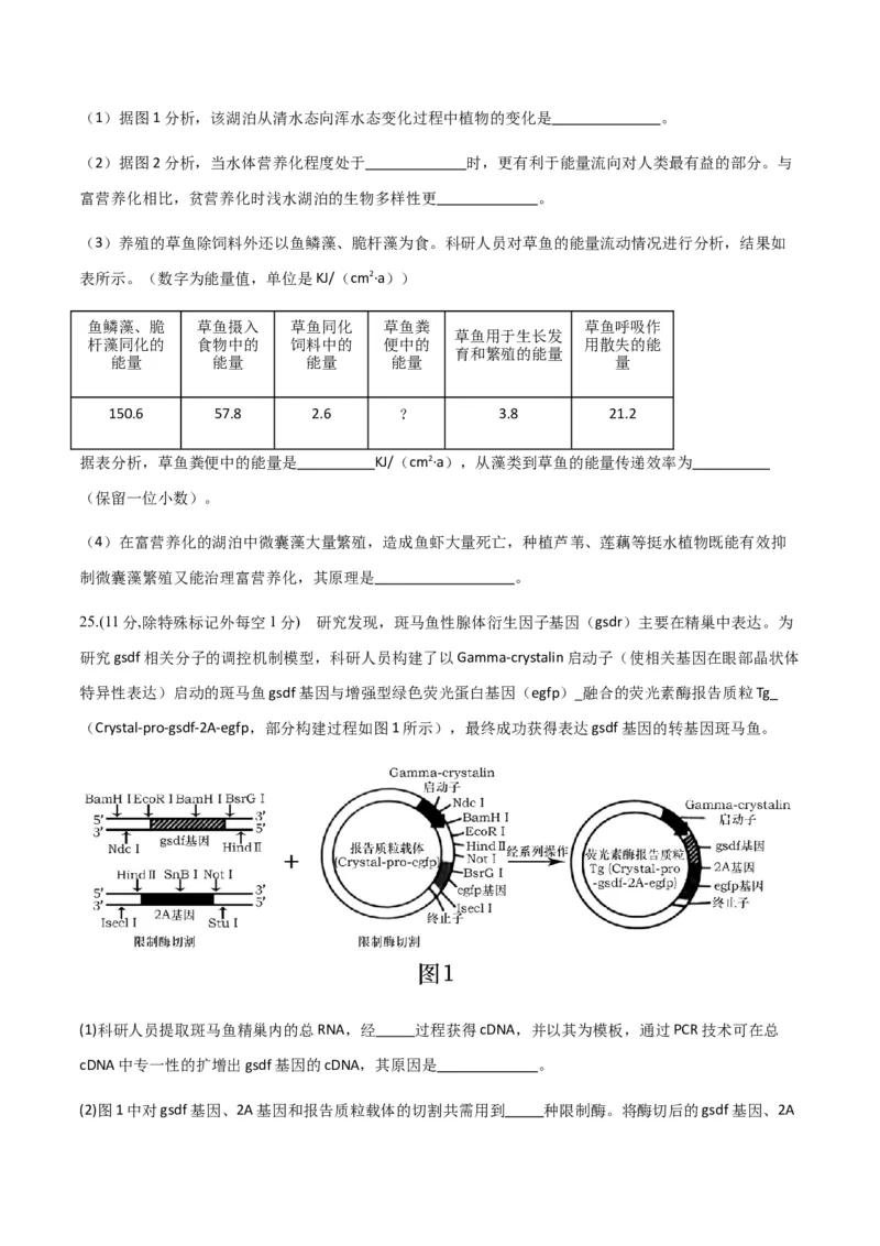黄金卷04（考试版）-赢在高考&middot;黄金8卷备战2024年高考生物模拟卷（山东专用）_2024年新高考资料_4.2024高考模拟预测试卷
