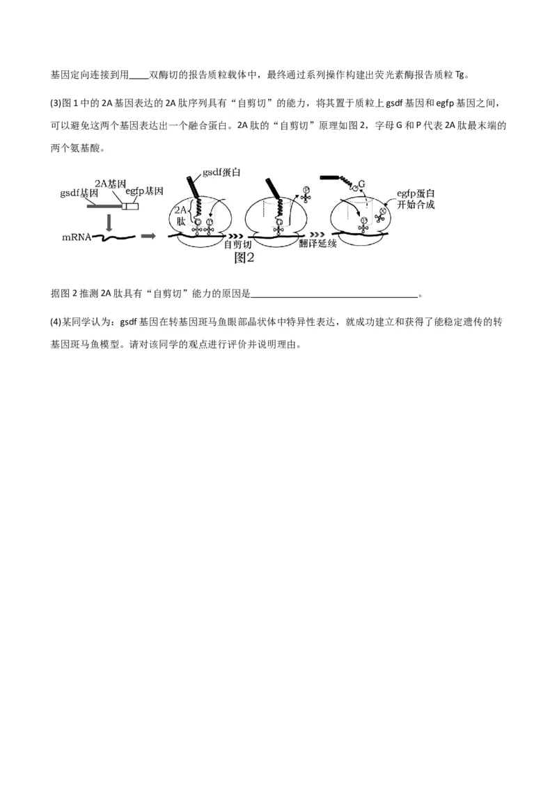 黄金卷04（考试版）-赢在高考&middot;黄金8卷备战2024年高考生物模拟卷（山东专用）_2024年新高考资料_4.2024高考模拟预测试卷