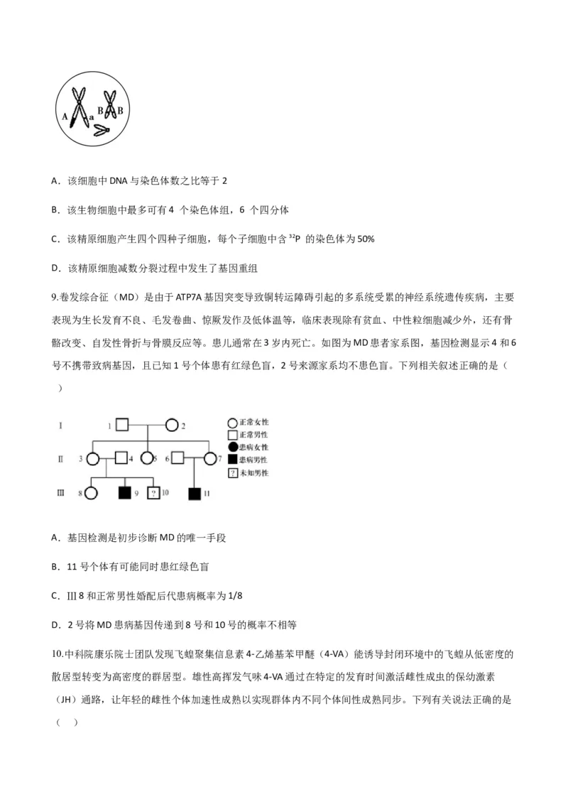黄金卷04（考试版）-赢在高考&middot;黄金8卷备战2024年高考生物模拟卷（山东专用）_2024年新高考资料_4.2024高考模拟预测试卷