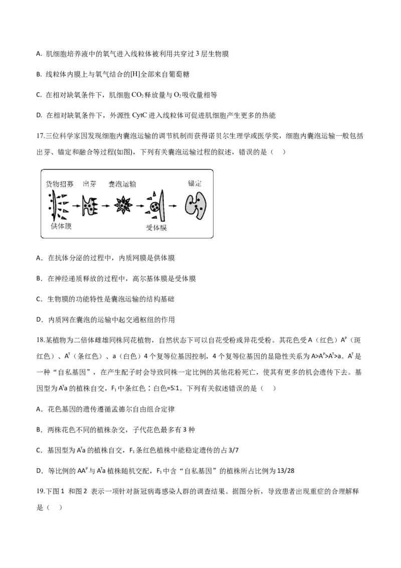 黄金卷04（考试版）-赢在高考&middot;黄金8卷备战2024年高考生物模拟卷（山东专用）_2024年新高考资料_4.2024高考模拟预测试卷