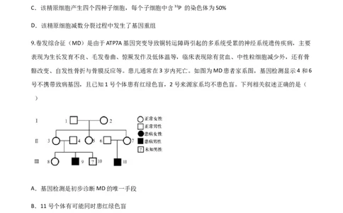 黄金卷04（考试版）-赢在高考&middot;黄金8卷备战2024年高考生物模拟卷（山东专用）_2024年新高考资料_4.2024高考模拟预测试卷