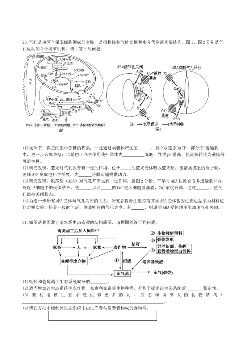 黄金卷05（考试版）_2024年新高考资料_4.2024高考模拟预测试卷_赢在高考&middot;黄金8卷备战2024年高考生物模拟卷（广东专用）31276448