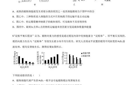 黄金卷05（考试版）_2024年新高考资料_4.2024高考模拟预测试卷_赢在高考&middot;黄金8卷备战2024年高考生物模拟卷（广东专用）31276448