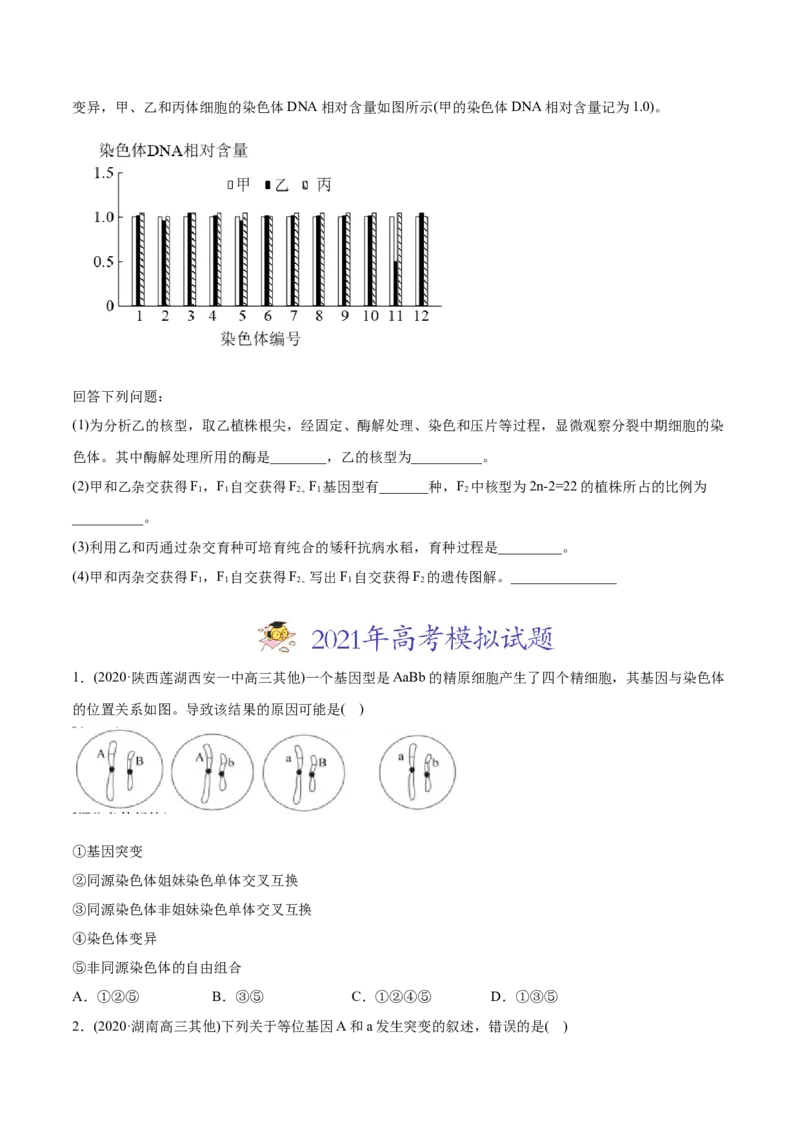 专题10变异、育种与进化-2021年高考生物真题与模拟题分类训练（学生版）_新高考复习资料_2023年新高考复习资料_一轮复习_2023年新高考大一轮复习讲义